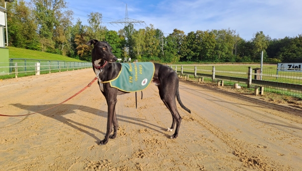 EM-Revanche Gelsenkirchen 24.09.23